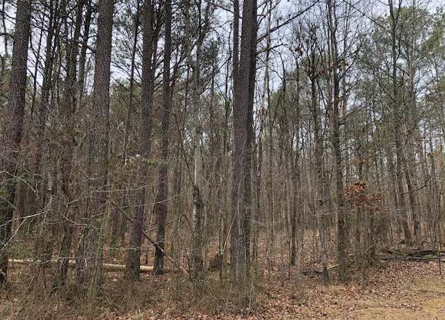 Property at 0 Kendrick Rd, Eldridge, AL 35554