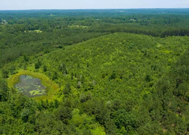 Property at Blanton Rd, Oakman, AL 35579