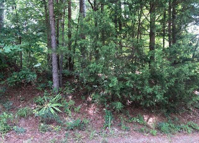 Property at LOT 8 County Road 287, Arley, AL 35541