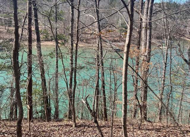 Property at LOT 6 T C Downs Subdivision, Double Springs, AL 35553