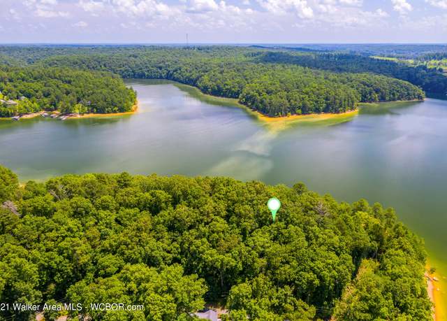 Property at 551 County Road 4001, Logan, AL 35098