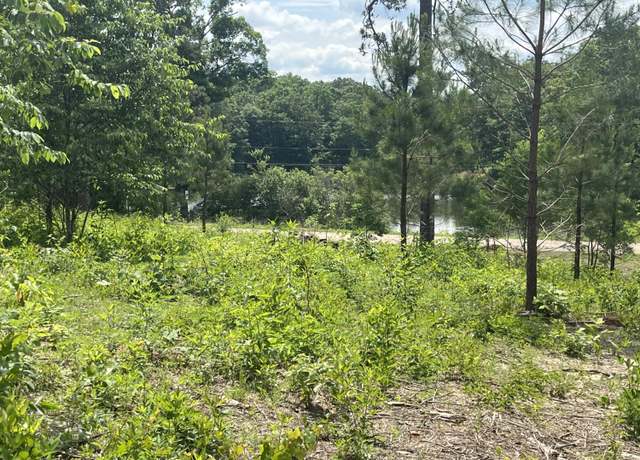 Property at Ripley Rd, Carbon Hill, AL 35549