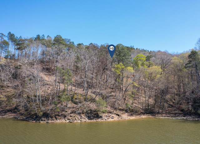 Property at LOT 10 Flat Rock Cv, Crane Hill, AL 35053