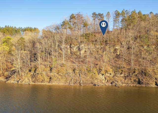 Property at LOT 11 Flat Rock Cv, Crane Hill, AL 35053