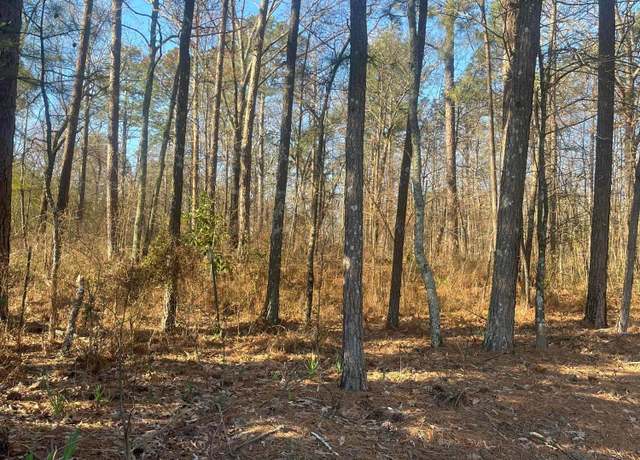 Property at Walston Rd, Jasper, AL 35504