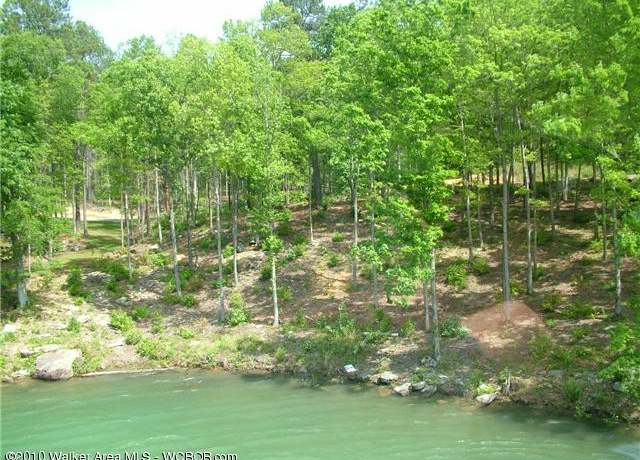 Property at LOT # 44 Osprev Ave, Arley, AL 35541