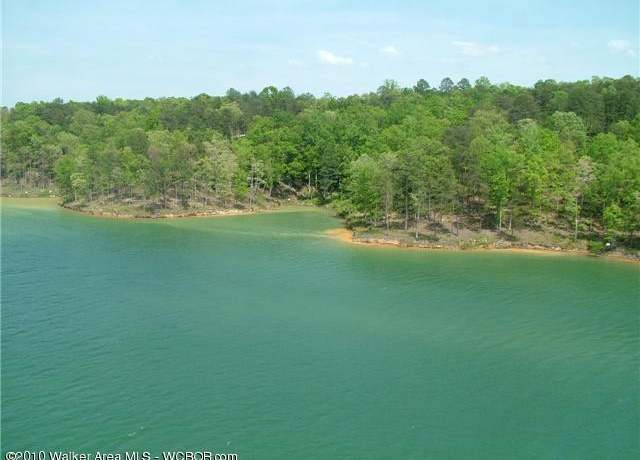 Property at LOT # 50 Osprev Ave, Arley, AL 35541
