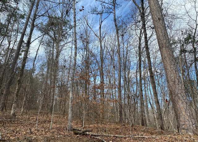Property at Raccoon Rd, Jasper, AL 35504