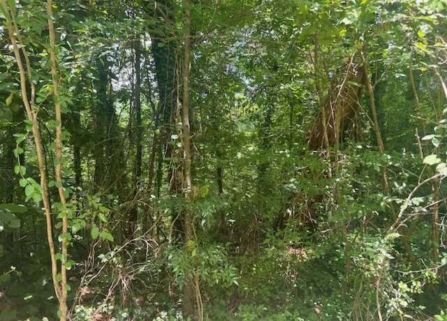 Property at College Rd, Jasper, AL 35501