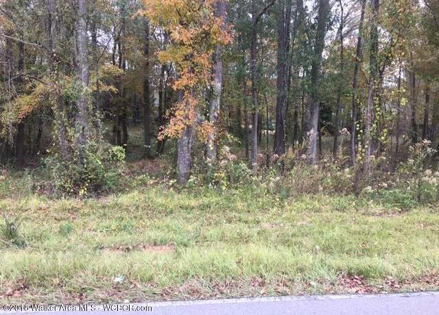 Property at LOT 1 & 2 Pineview St, Jasper, AL 35504