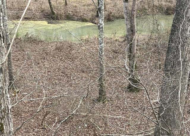 Property at 725 Shoreside Dr, Double Springs, AL 35553