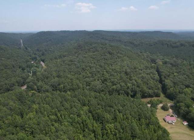 Property at Turtle Hole Rd, Townley, AL 35587