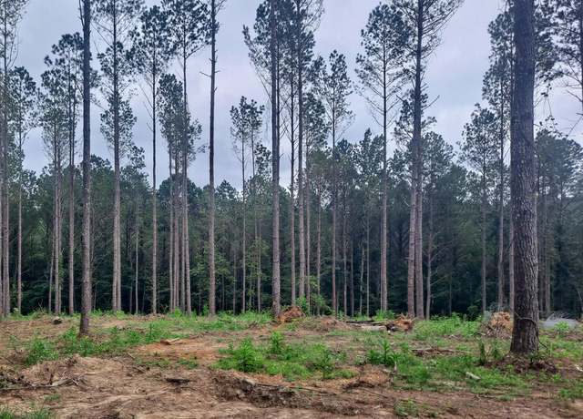 Property at No. 2 Rd, Nauvoo, AL 35578
