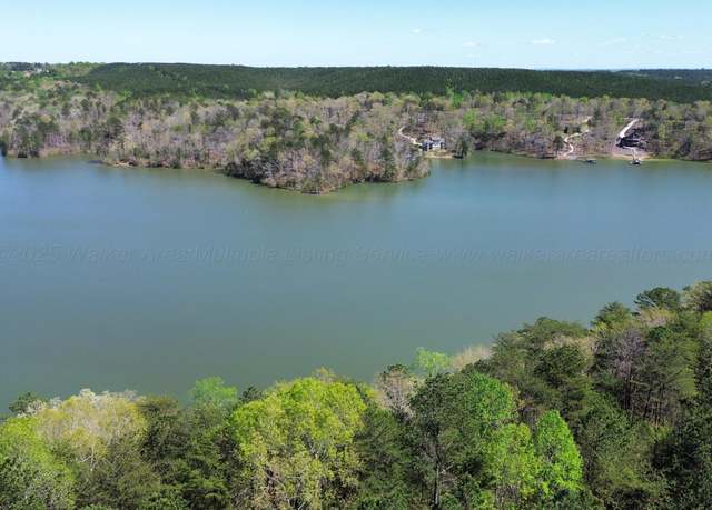 Property at LOT 1 County Road 204, Arley, AL 35541