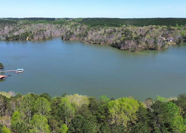 Property at LOT 4 County Road 204, Arley, AL 35541