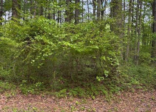 Property at LOT 3 Lotta Riv, Sipsey, AL 35584
