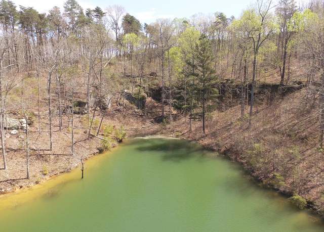 Property at LOT 47 Osprey Ave, Arley, AL 35540