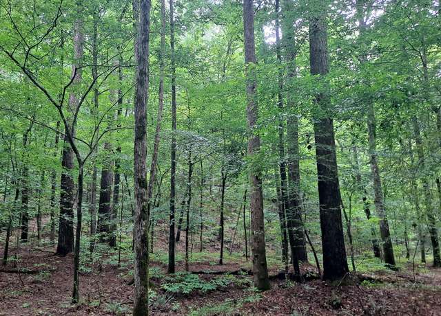 Property at Old Parrish Cordova Rd, Parrish, AL 35580