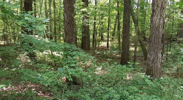 Photo of Old Duncan Rd, Arley, AL 35541