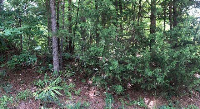 Photo of LOT 8 County Road 287, Arley, AL 35541