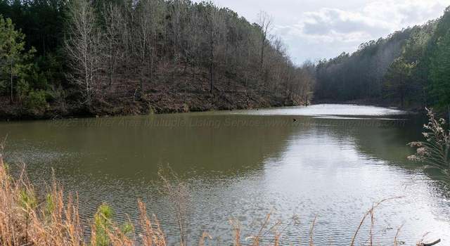 Photo of 15201 Co Rd 63, Carbon Hill, AL 35549