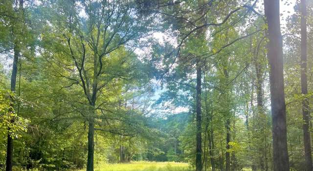 Photo of Nethery Rd, Dora, AL 35062