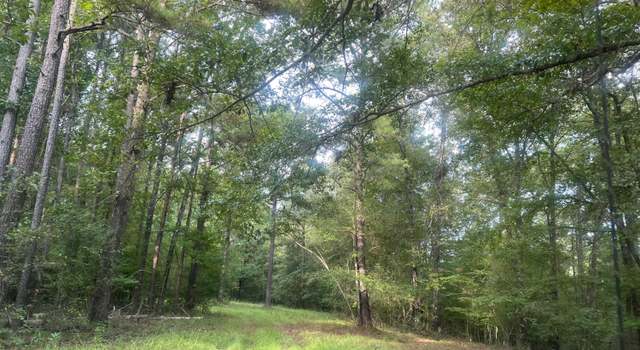 Photo of Nethery Rd, Dora, AL 35062