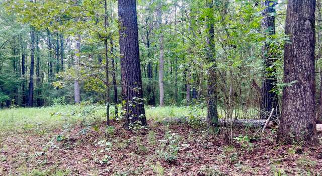 Photo of Nethery Rd, Dora, AL 35062