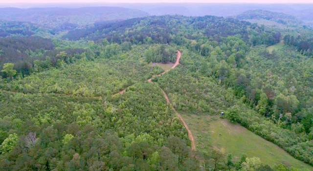 Photo of Blue Water Rd, Oakman, AL 35579