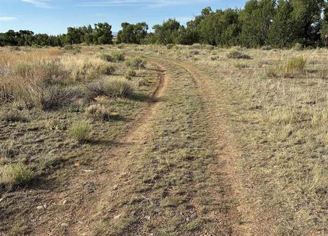 Property at 111 Prairie Wind Ln, Capulin, CO 81124