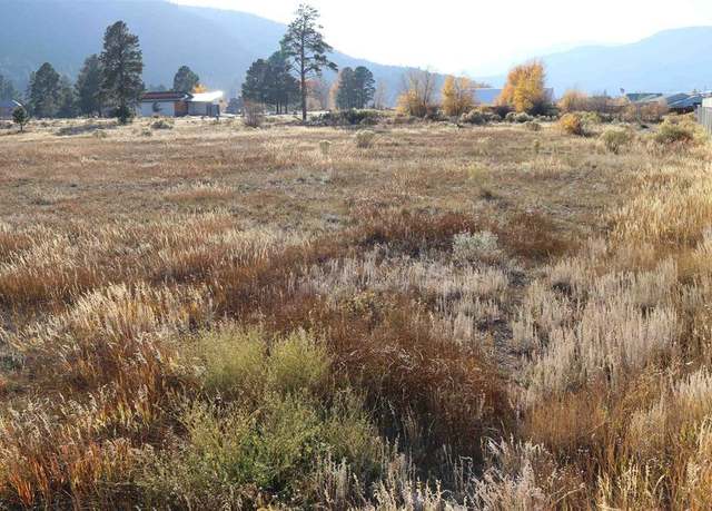 Property at 117 Bonnaville Dr, South Fork, CO 81154