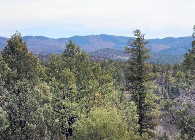 Property at 206 Alcazar Pl, Pagosa Springs, CO 81147
