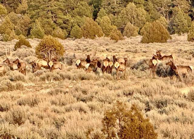 Property at 000 96 & 595 Hwy Unit Wilderness Ranch, Regina, NM 87046