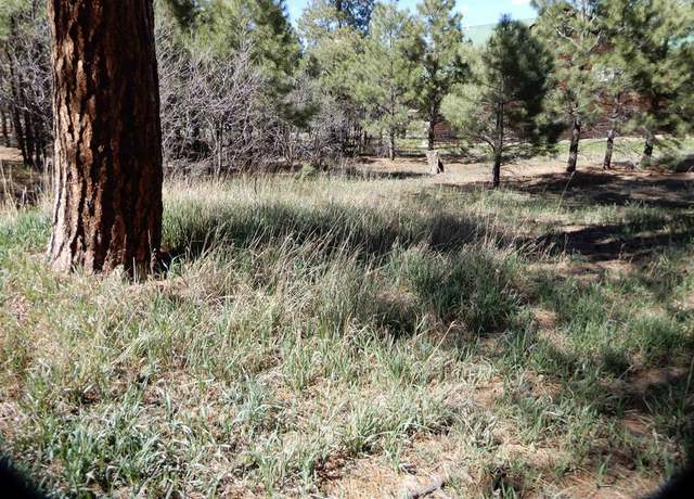 Property at 90 Knife Edge Pl, Pagosa Springs, CO 81147
