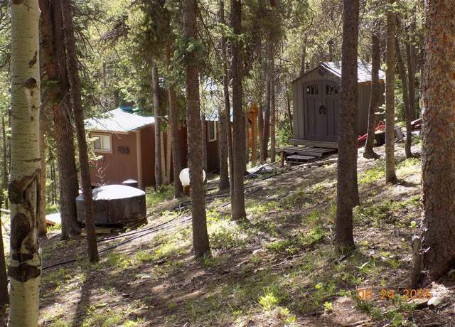 Property at 823 Grasshopper Rd, Pitkin, CO 81241