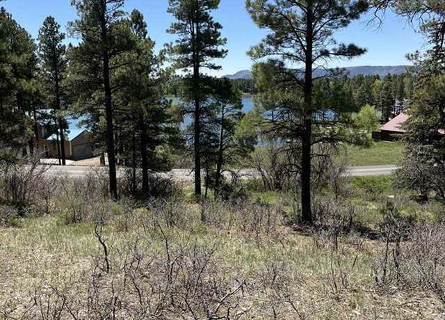 Property at 1318 Cloud Cap Ave, Pagosa Springs, CO 81147