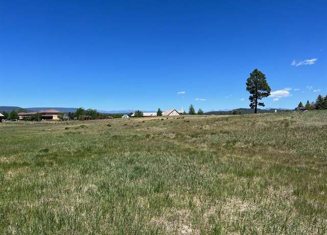 Property at Lot 4AX Eaton Dr, Pagosa Springs, CO 81147
