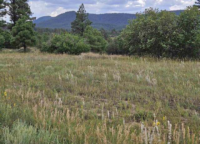 Property at 250 Prospect Blvd, Pagosa Springs, CO 81147