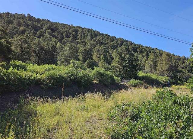 Property at TBD Ward Creek Rd, Cedaredge, CO 81413