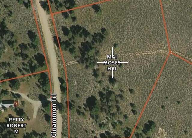 Property at 308 Cinnamon Trl, Powderhorn, CO 81243