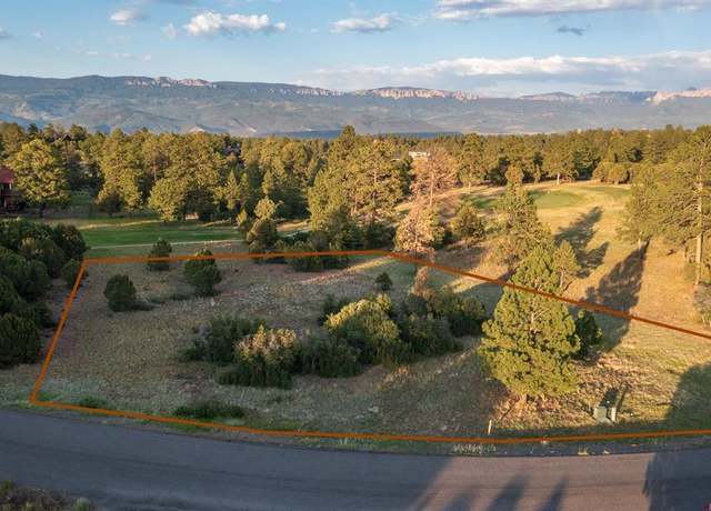 Property at 1456 Marmot Dr, Ridgway, CO 81432