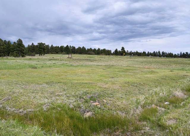Property at 40 Port Ave, Pagosa Springs, CO 81147