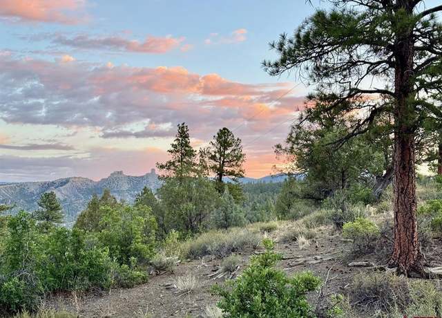 Property at 1280 Cr 917, Pagosa Springs, CO 81147