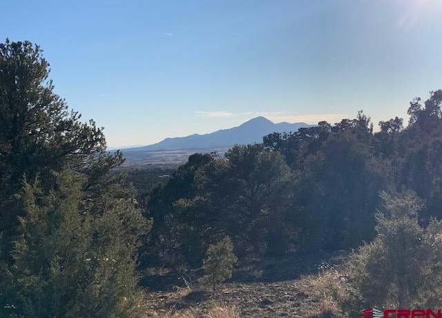 Property at TBD Road V.4 Lot 14, Dolores, CO 81323