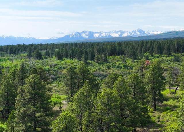 Property at 35 Acres Davewood Rd, Montrose, CO 81403