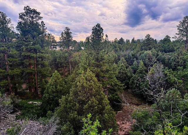 Property at 190 Hummingbird Trl, Ridgway, CO 81432