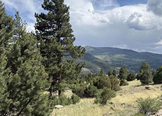 Property at 0 Ellingwood Dr, South Fork, CO 81154