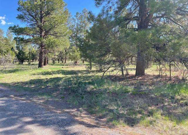 Property at TBD Lot 308 Bear Cub Dr, Ridgway, CO 81432