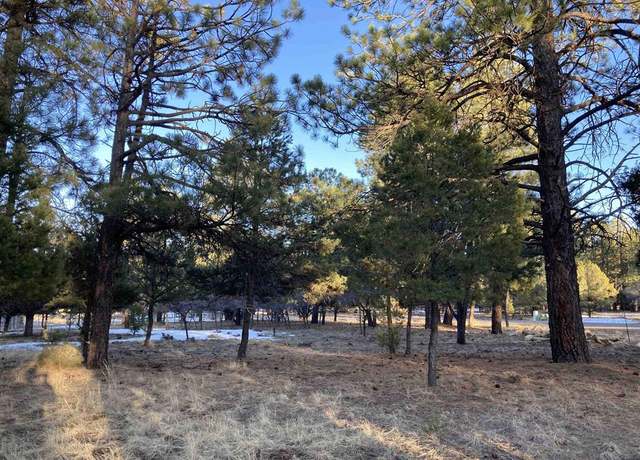 Property at Lot 324 Bear Cub Dr, Ridgway, CO 81432