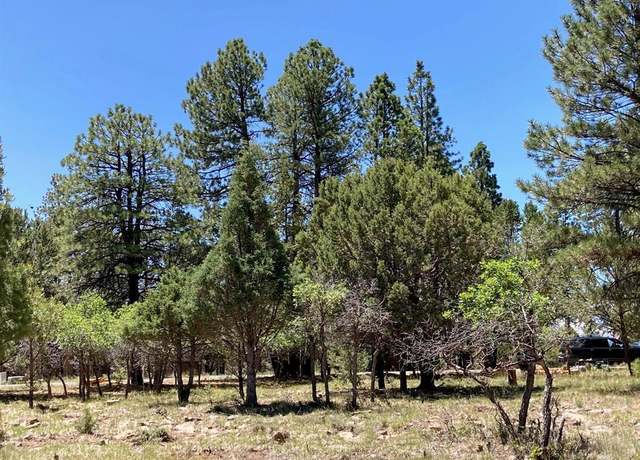 Property at Lot 324 Bear Cub Dr, Ridgway, CO 81432